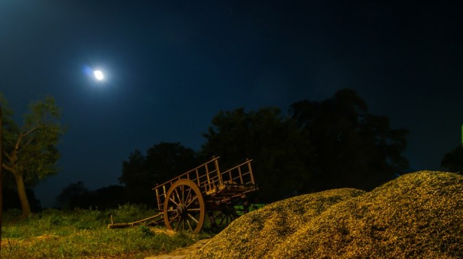 Bhibhatsa – The Navarasa Stories&nbsp;VII